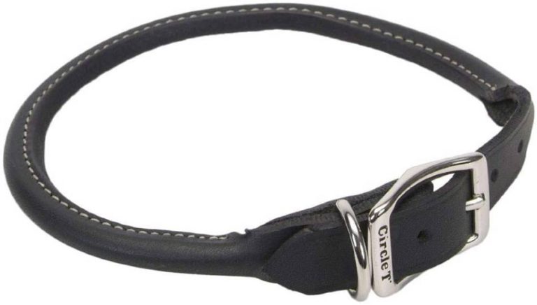Circle T Leather Round Collar For Dog