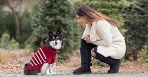 Dog sweater