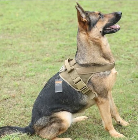 EXCELLENT ELITE SPANKER Tactical Dog Harness