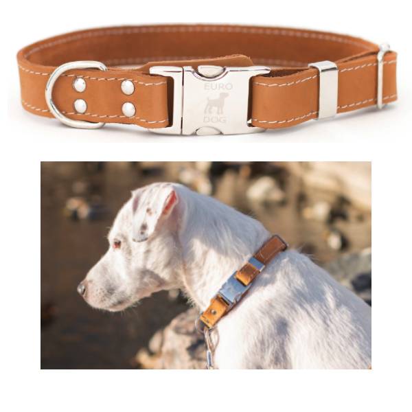 Euro Dog Quick Release Leather Dog Collar
