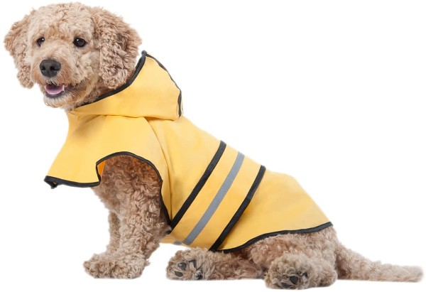 ashion Pet Dog Raincoat with Hood
