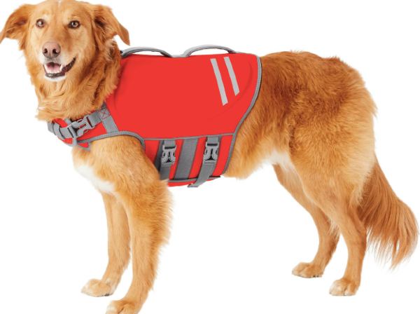 Frisco neoprene dog life jacket