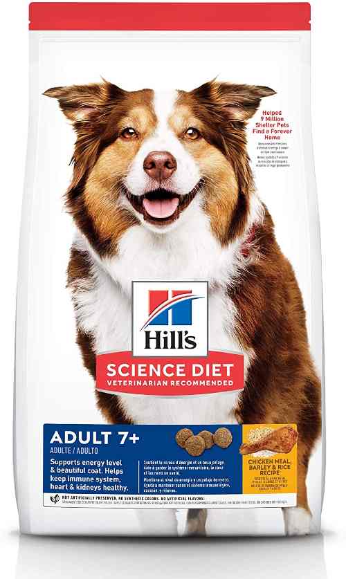 Hill's Science Diet Senior Dog Food