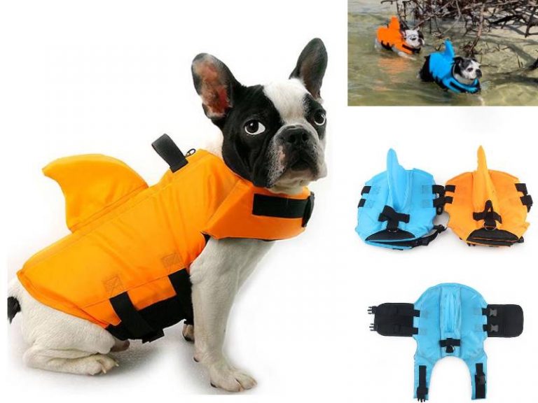 Dog Life Jacket & Swimming Suit