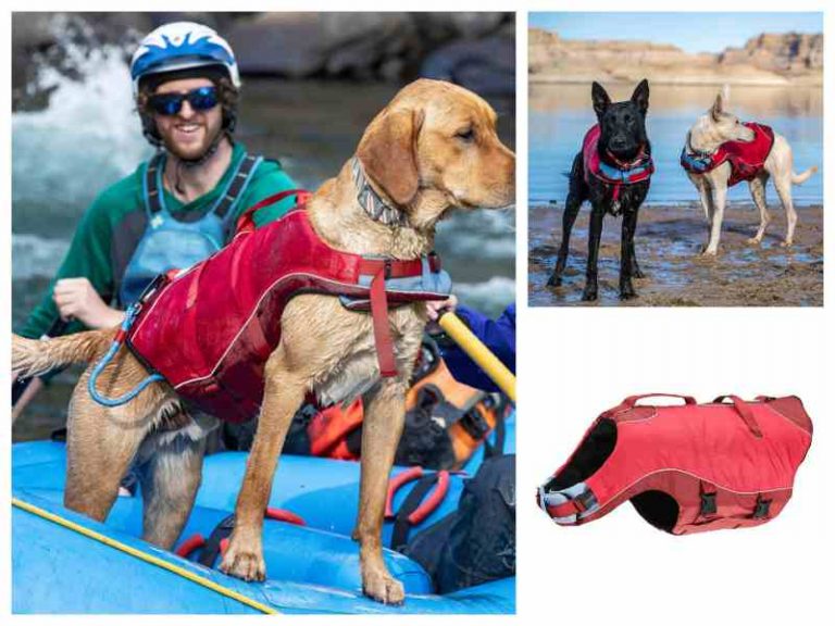 Kurgo Surf N Turf Dog Life Jacket