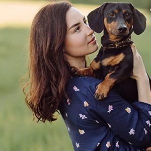 Leather dog collar