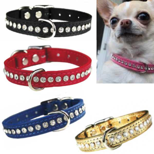 OmniPet Signature Crystal Leather Dog Collar