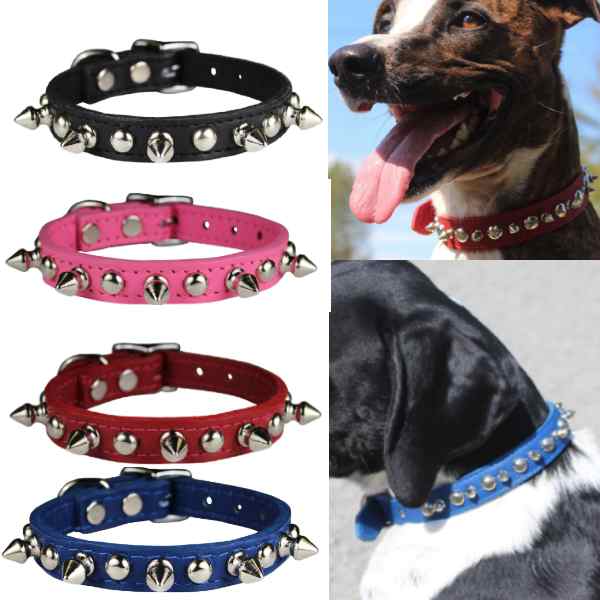 OmniPet Studs & Spikes Leather Dog Collar