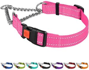 Reflective Martingale Dog Collar