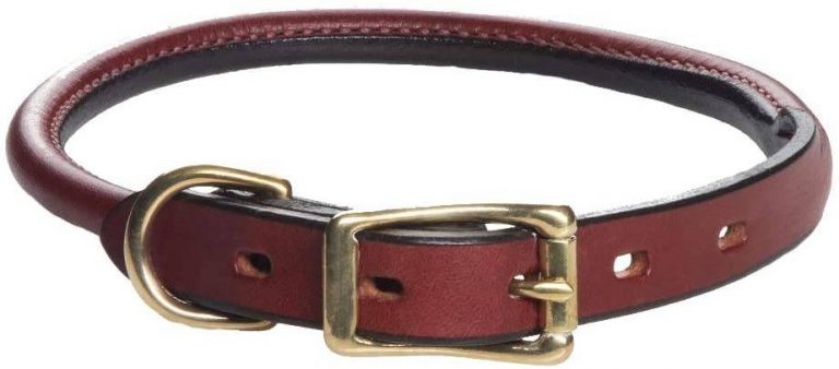 Rolled leather dog collar