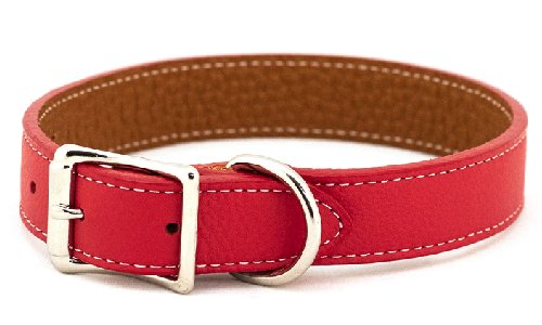 Soft Tuscan Italian Leather Dog Collar