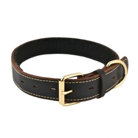 Genuine leather dog collar
