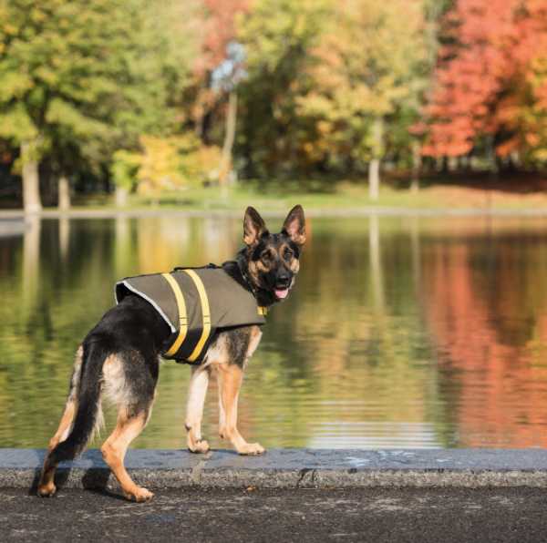 US Army dog life vest