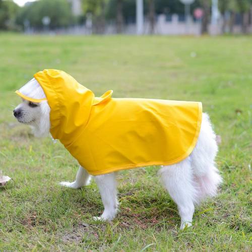 Yellow Dog Raincoat with Hood