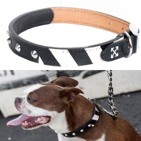 Fresh Pawz - Quotation Mark Leather Collar