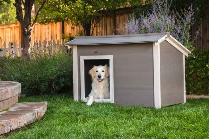 NEW AGE PET THERMOCORE INSULATED CANINE CABIN DOG HOUSE