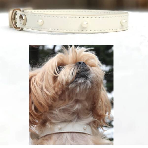 Leather collar with mini pearls