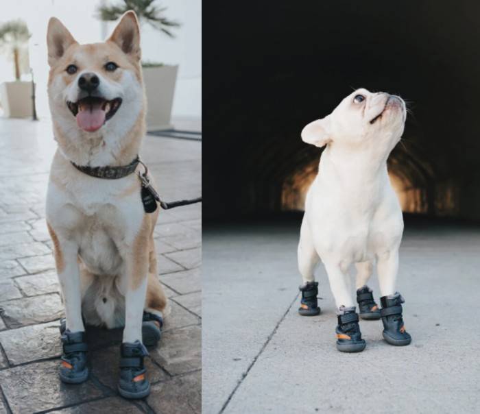 BELUGA Dog Shoes For Hot Summer