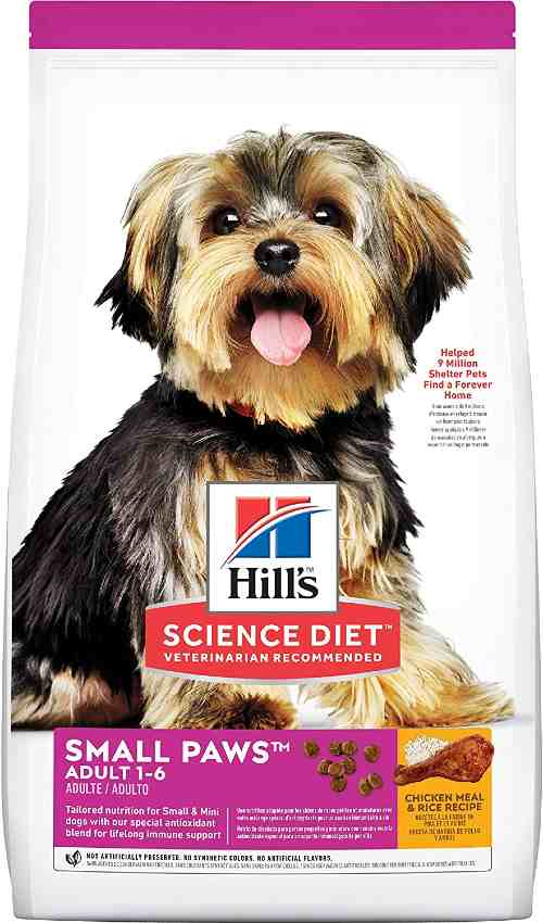 Best Dog Food Brand for Small Dogs