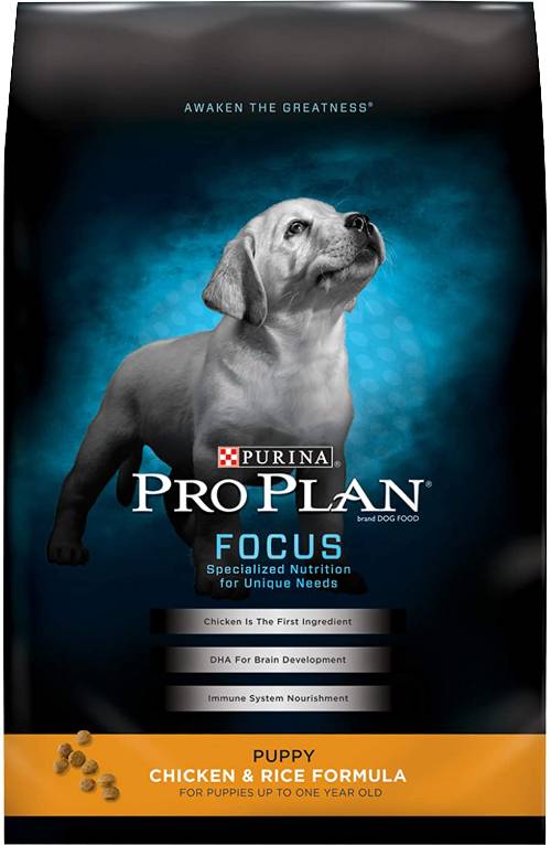 Best Dog Food Brands for Puppies