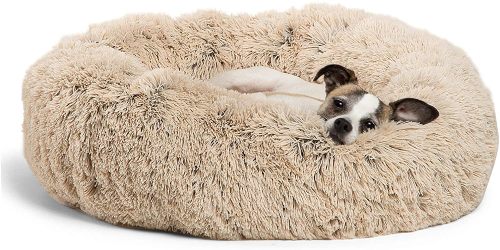 Best Friends Calming Dog Bed