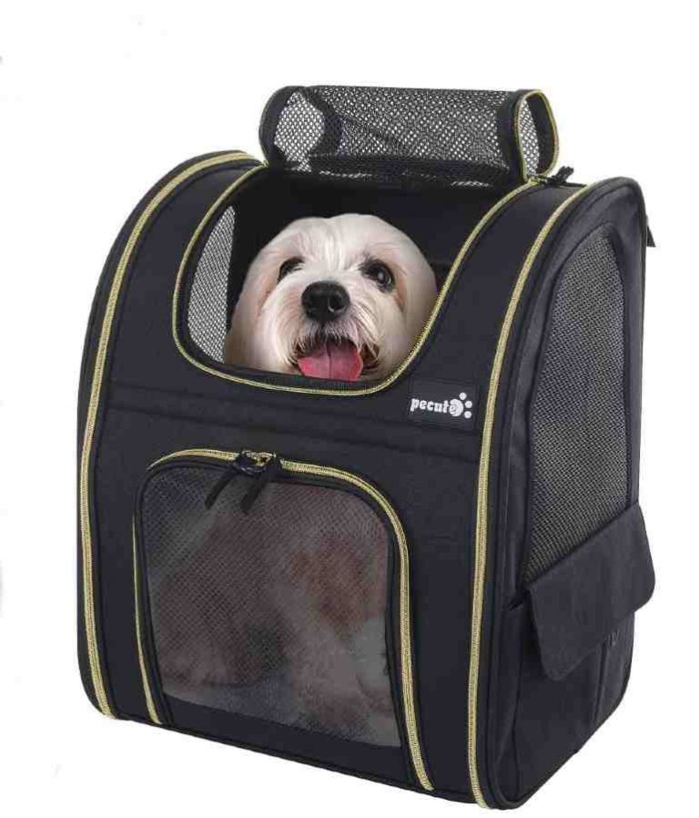 Dog backpack carrier for hiking