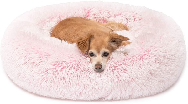 Friends Forever Calming Dog Bed