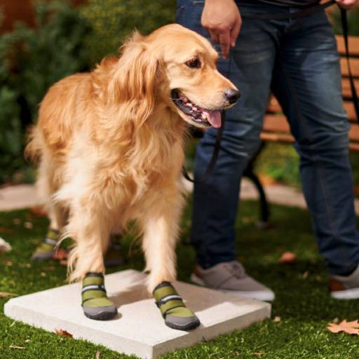 Frisco Anti-Slip Rubber Soles Wrap Dog Shoes