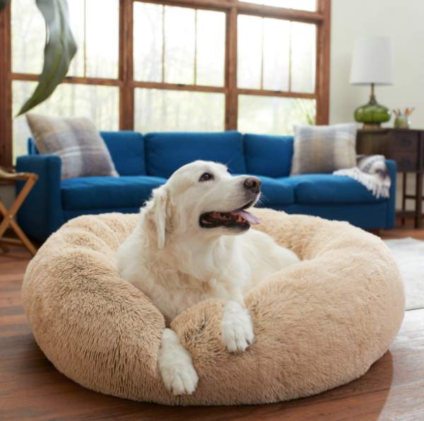 Frisco calming dog bed