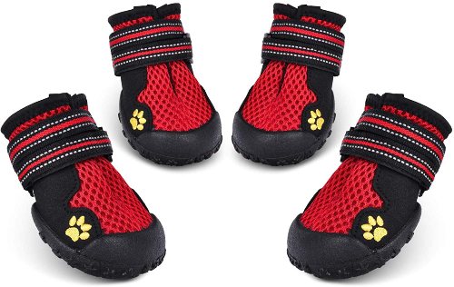 HiPaw Dog shoes for summer