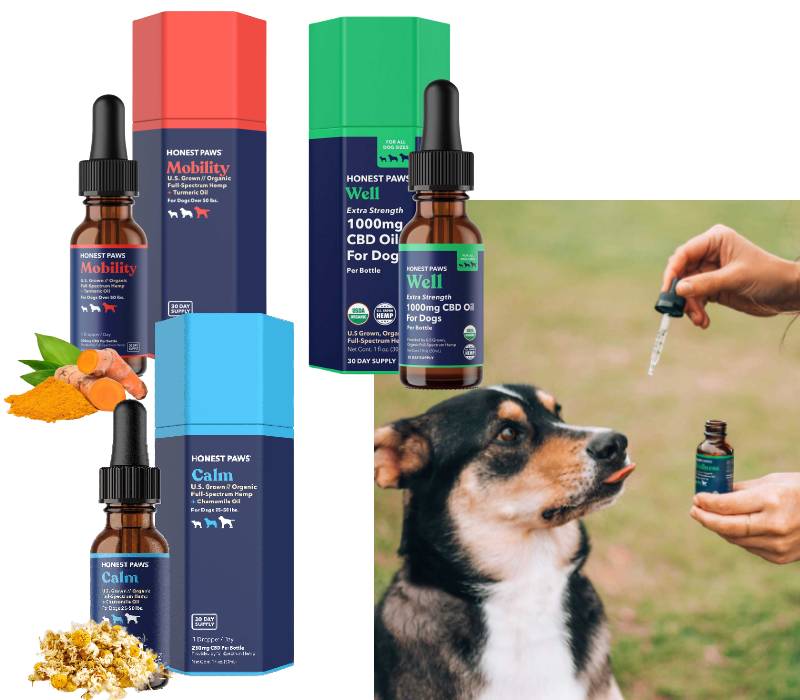 Honest Paws CBD Oil For Dog