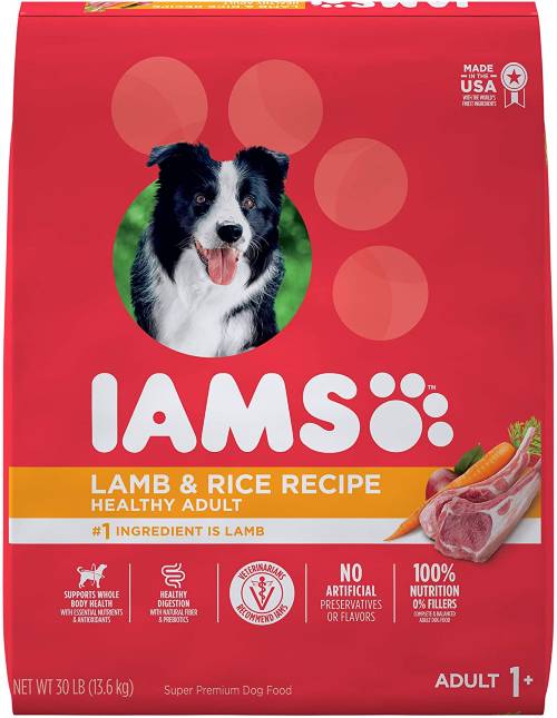IAMS dog food with grain