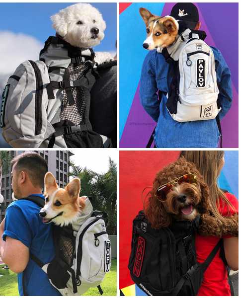 large dog carrier backpack for hiking