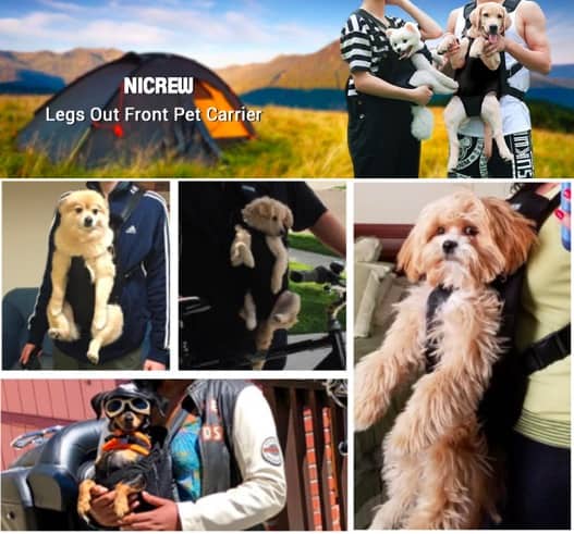 Nicrew dog carrier front pack