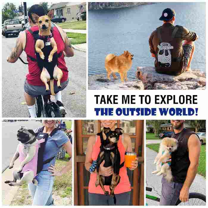 dog carrier front backpack
