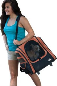 PetGear Dog Carrier Backpack