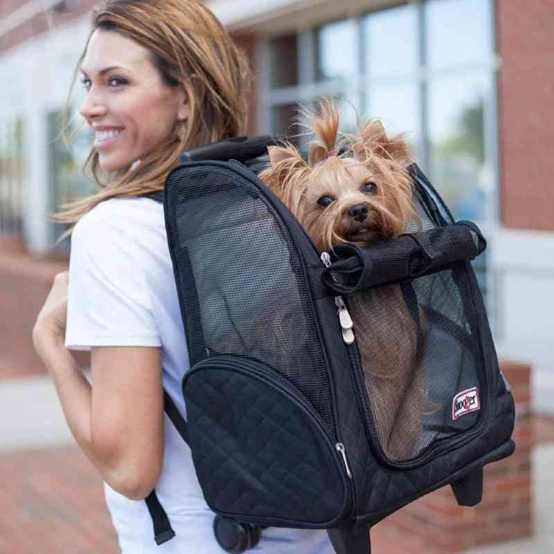 9. Snoozer Roll Around 4-in-1 Dog Carrier: Backpack, Roller Bag, Car Seat, Carry-on Bag