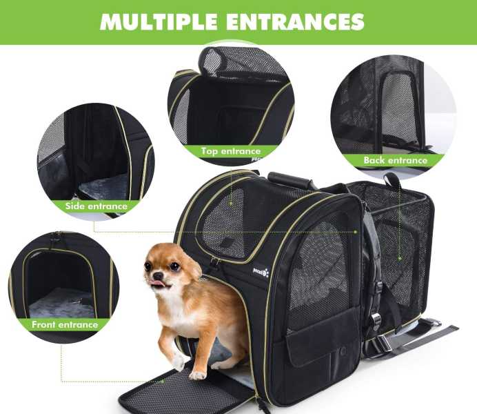 large dog carrier backpack