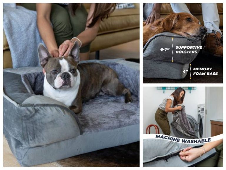 Alpha Paw Memory Foam Dog Bed For Small Medium Dogs