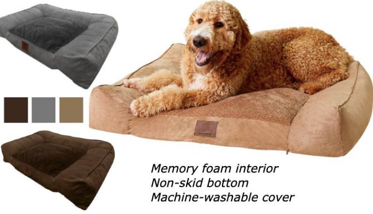 Large Memory Foam Dog Bed