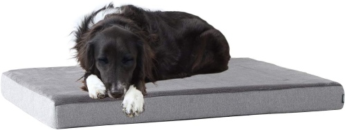 Barkbox Memory Foam Dog Bed