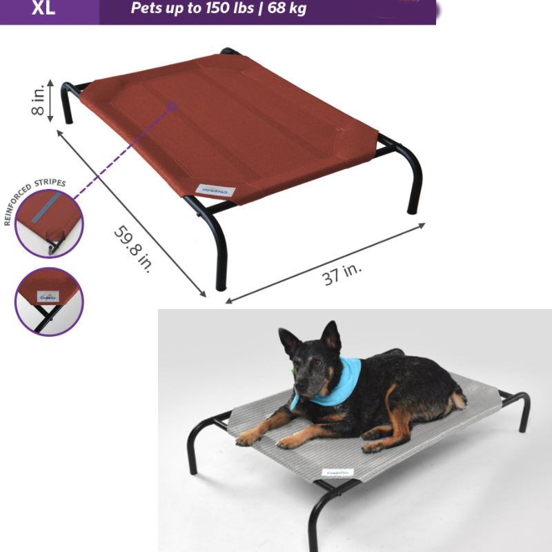 Coolaroo Steel-Framed Elevated Dog Bed