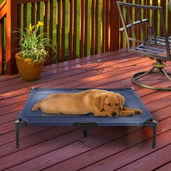 Elevated Dog Bed