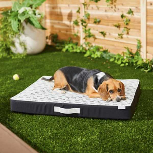 Frisco pillow outdoor dog bed