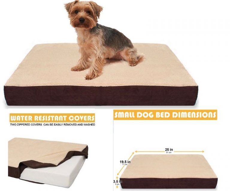 KOPEKS Waterproof Orthopedic Memory Foam Dog Bed For Small Dogs