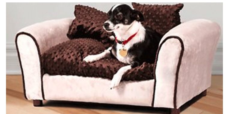 Keet Memory Foam Dog Bed Medium