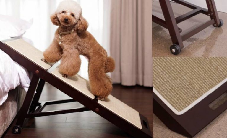 Merry Products Foldable Indoor Dog Ramp