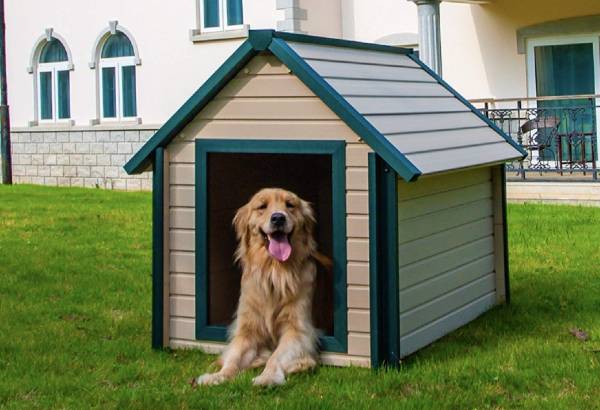 New Age Pet Bunk Style Dog House