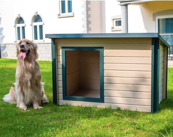 New Age Pet large dog house