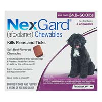 Nexgard Flea and Tick Treatment Oral Pill Chewables for Large Dog